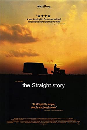 Straight’in Hikayesi izle