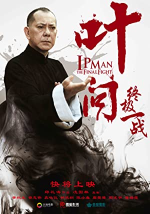 Ip Man: Son Dövüş izle