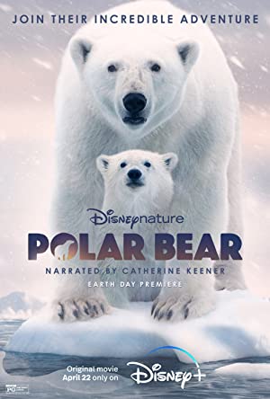 Polar Bear izle