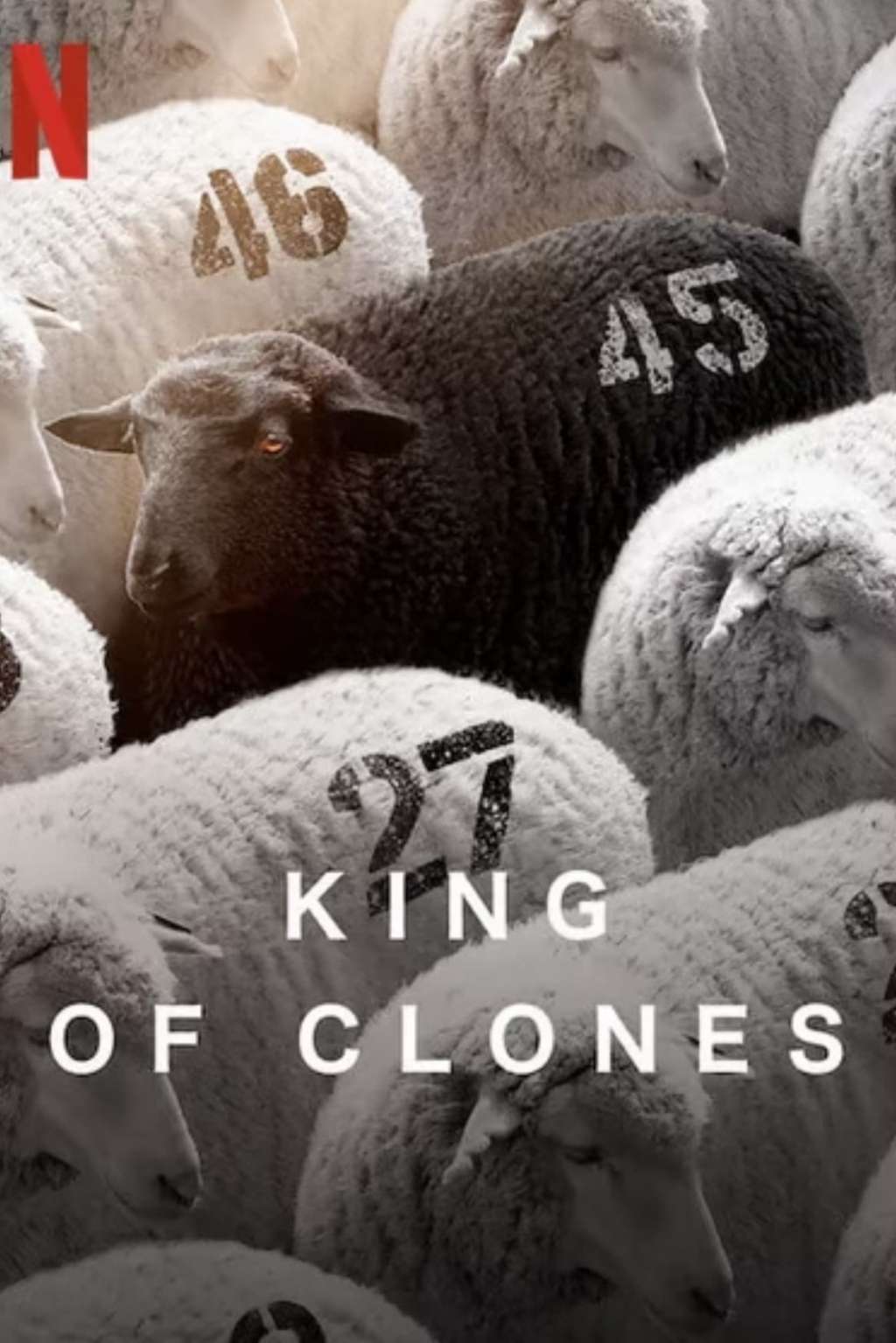 King of Clones izle