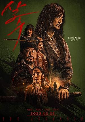 The Assassin izle