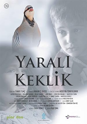 Yaralı Keklik izle