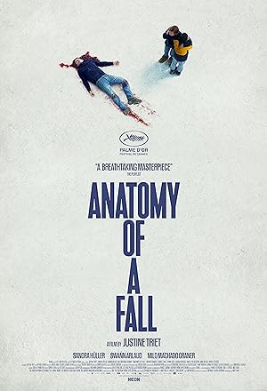 Bir Düşüşün Anatomisi izle