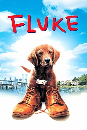 Şanslı izle