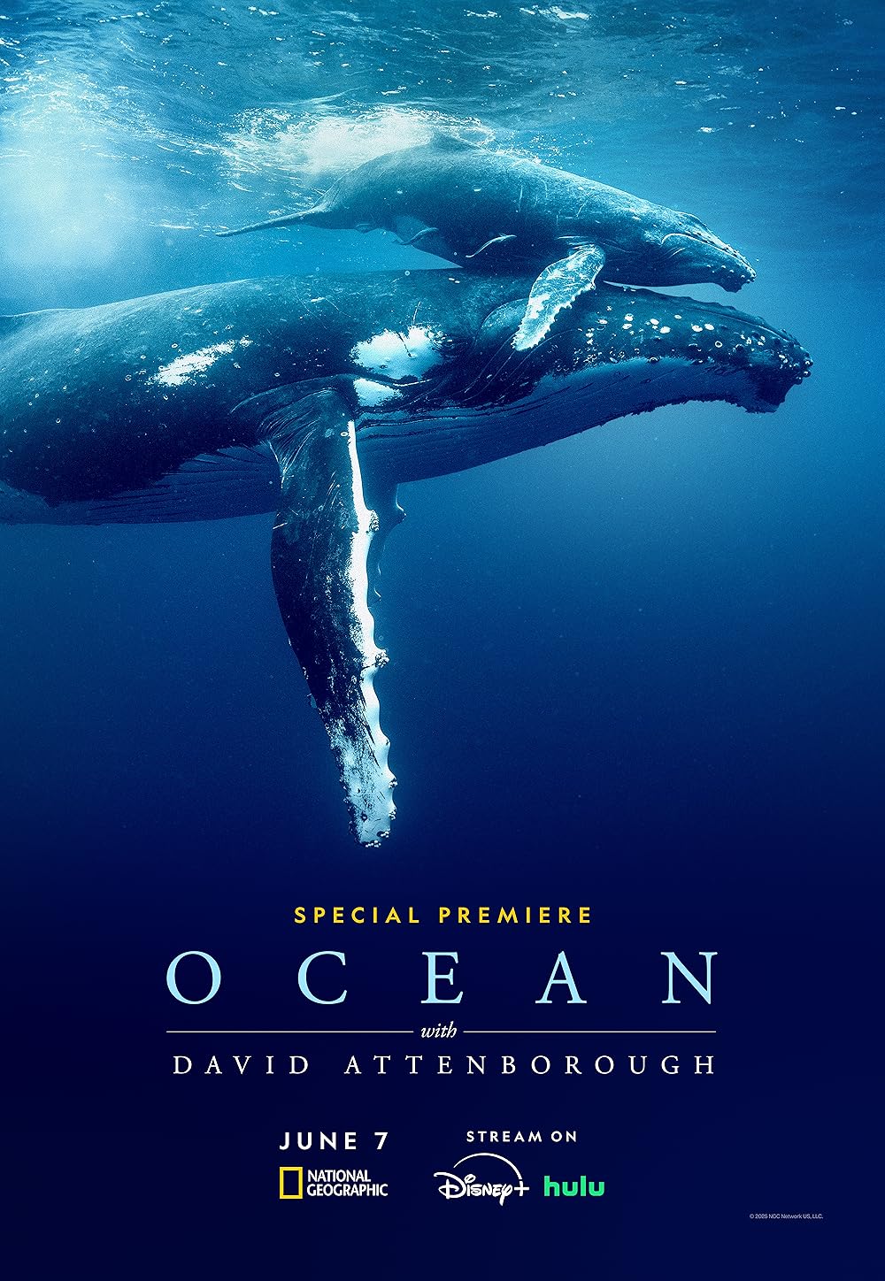 David Attenborough ile Okyanuslar izle