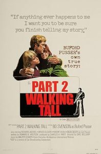 Kanunsuz Yol izle