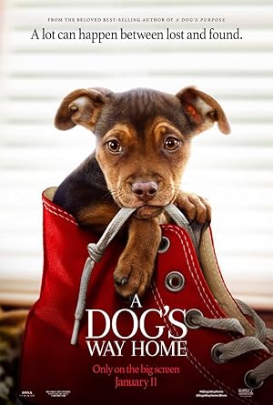 Sadık Dostum izle