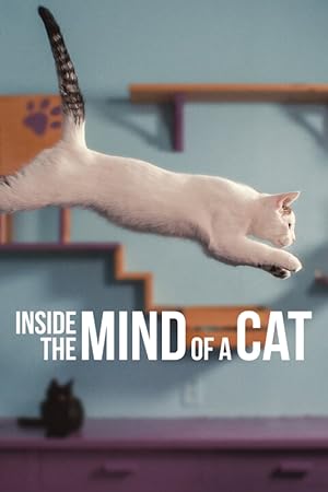 Kedilerin Aklından Neler Geçiyor? izle