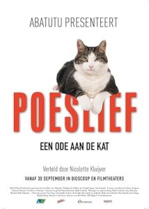 Kedi Aşkına izle